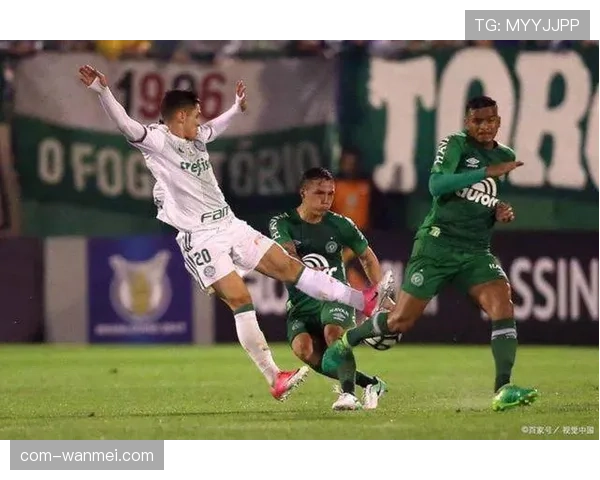 解放者杯赛场再现巴西内战,帕尔梅拉斯创下新高